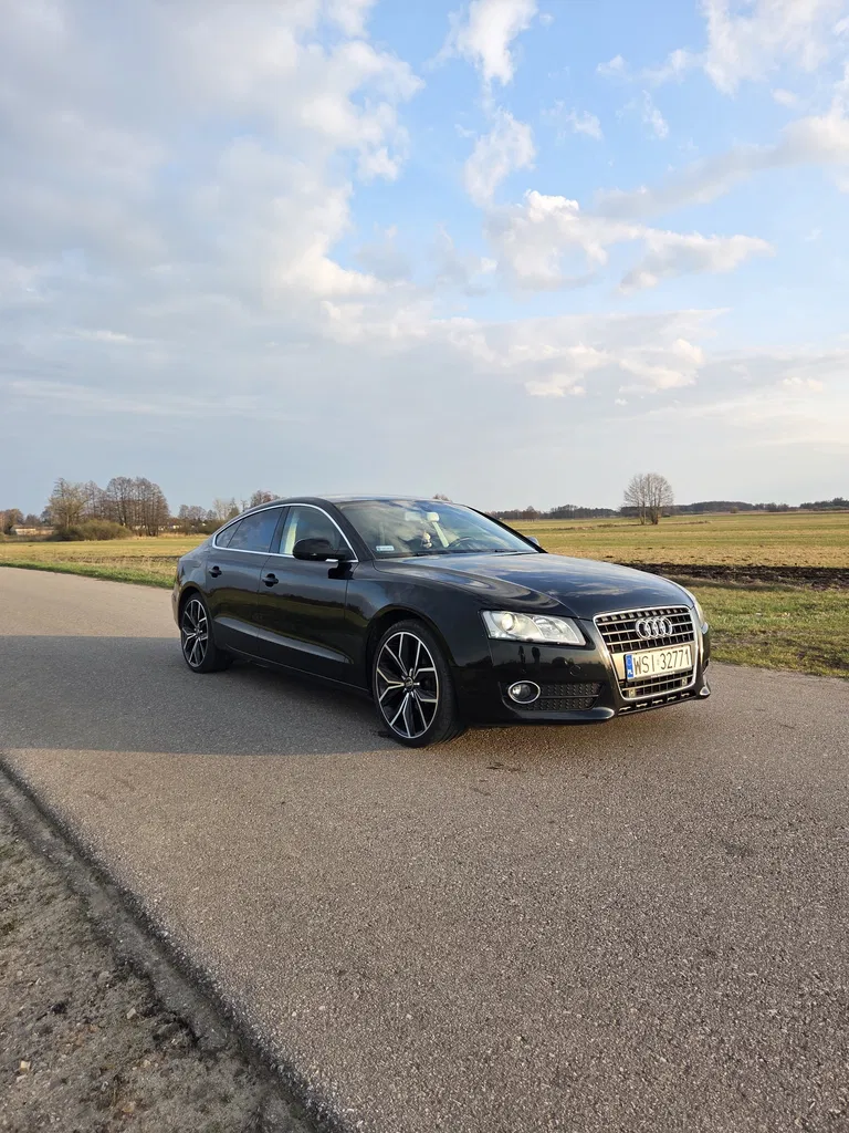 Zdjęcie: 2011 Audi A5 Sportback