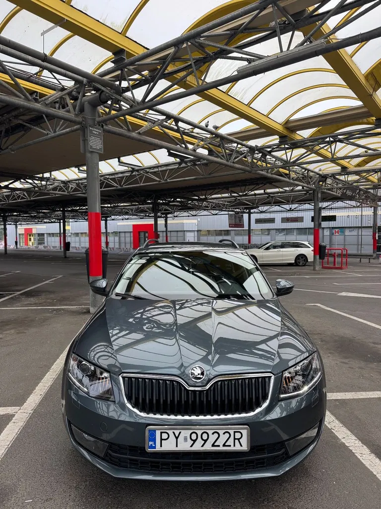 Zdjęcie: 2014 Skoda Octavia