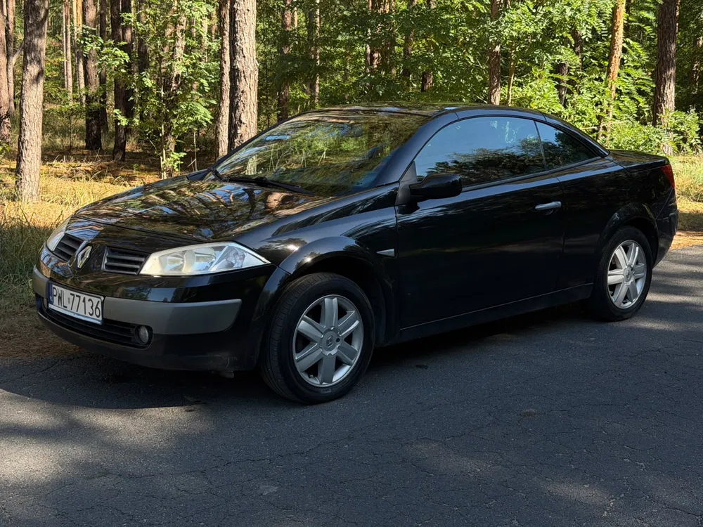 Zdjęcie: 2004 Renault Megane