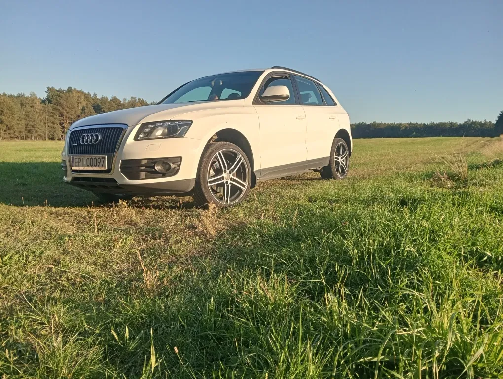Zdjęcie: 2011 Audi Q5