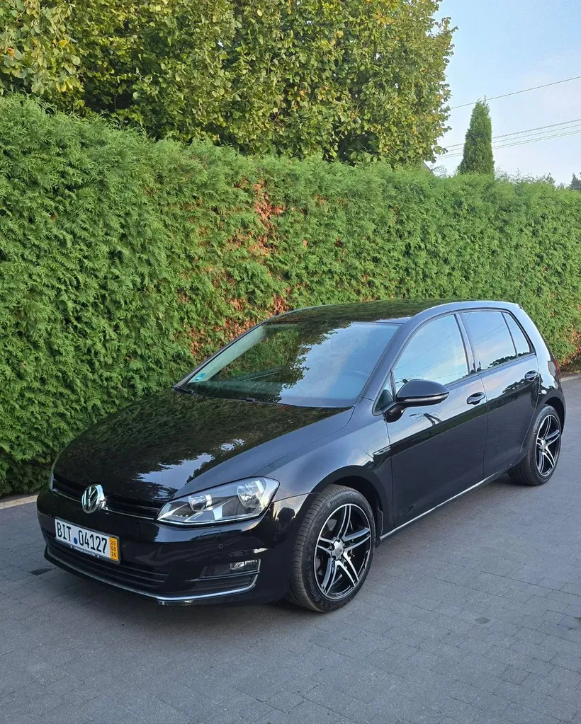 Zdjęcie: 2016 Volkswagen Golf