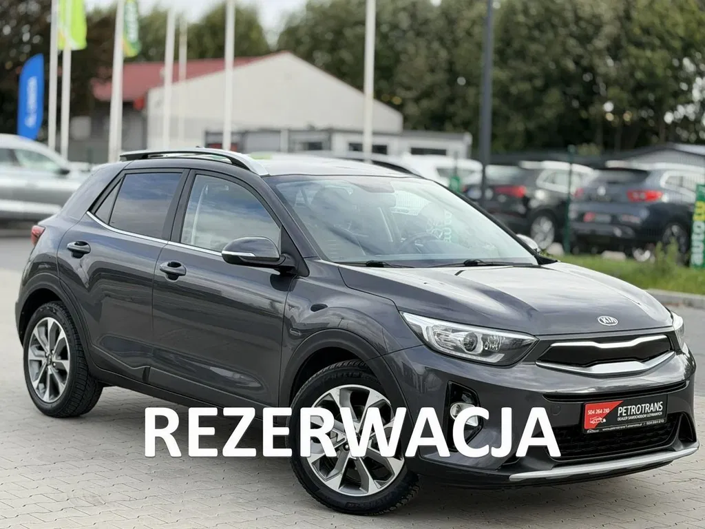 Zdjęcie: 2019 Kia Stonic