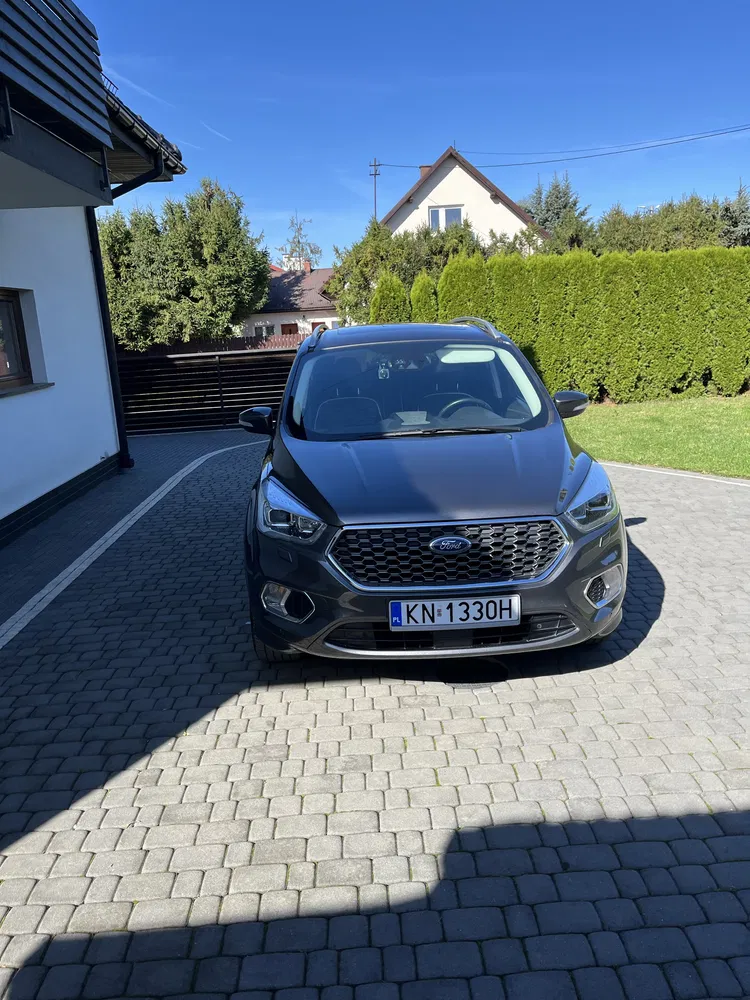 Zdjęcie: 2019 Ford Kuga