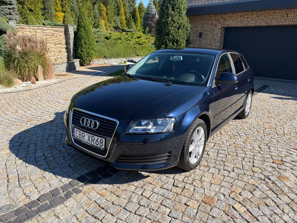 Zdjęcie: 2010 Audi A3 Sportback