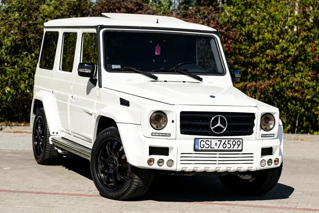 Zdjęcie: 2010 Mercedes-Benz G Klasa