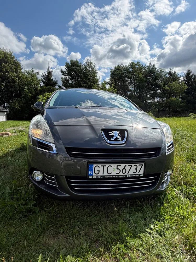 Zdjęcie: 2010 Peugeot 5008