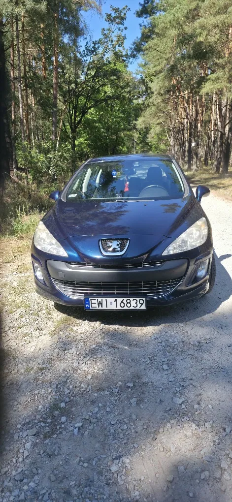 Zdjęcie: 2009 Peugeot 308