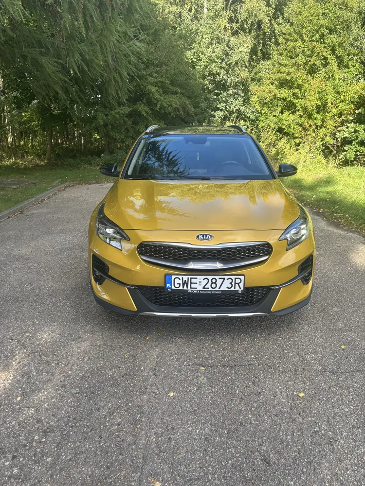 Zdjęcie: 2021 Kia XCeed