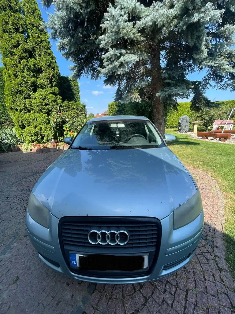 Zdjęcie: 2007 Audi A3 3-drzwiowe