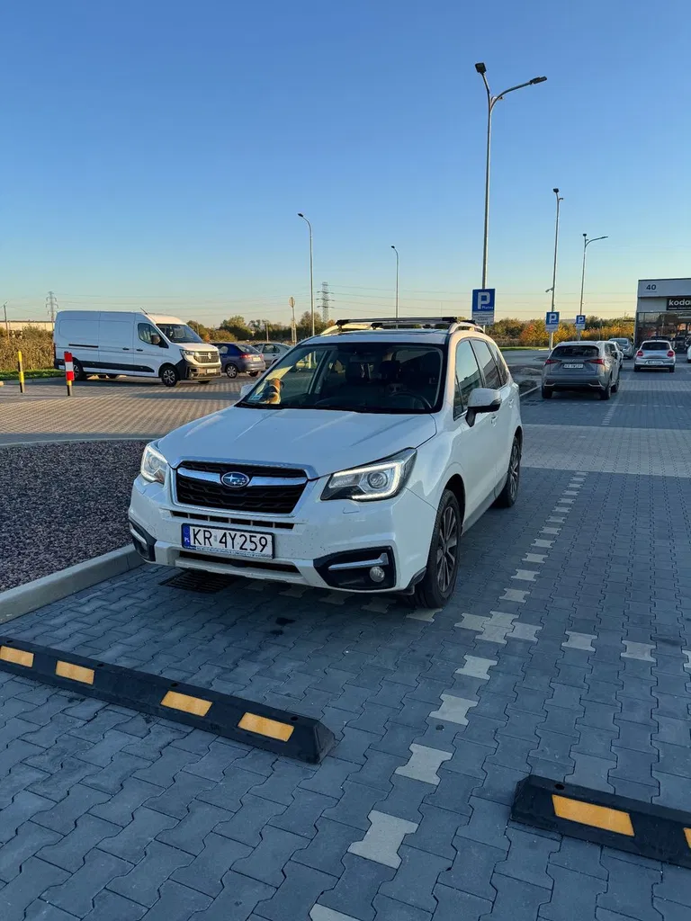 Zdjęcie: 2017 Subaru Forester