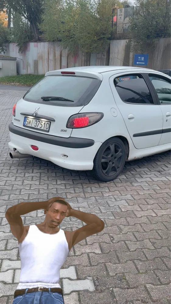 Zdjęcie: 2004 Peugeot 206