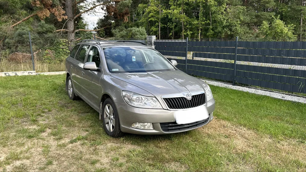 Zdjęcie: 2010 Skoda Octavia