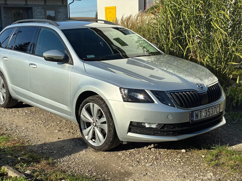 Zdjęcie: 2020 Skoda Octavia