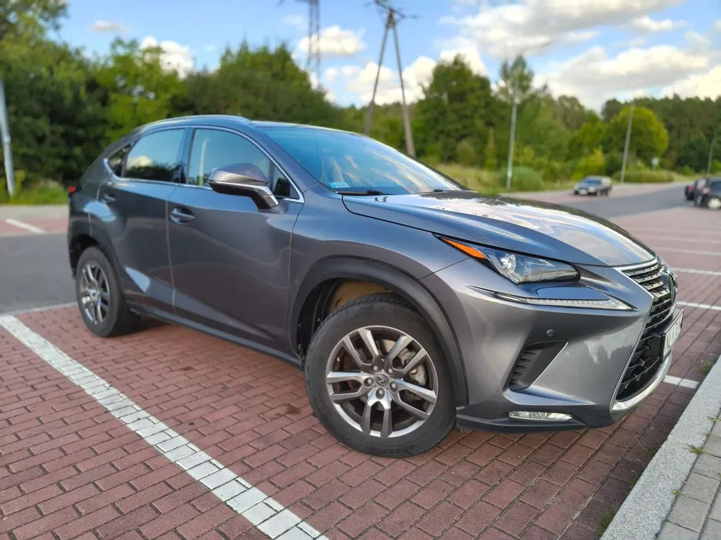 Zdjęcie: 2019 Lexus NX