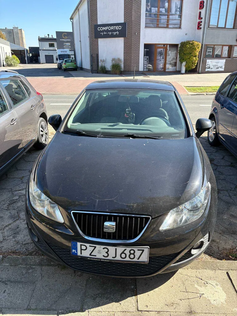 Zdjęcie: 2010 Seat Ibiza