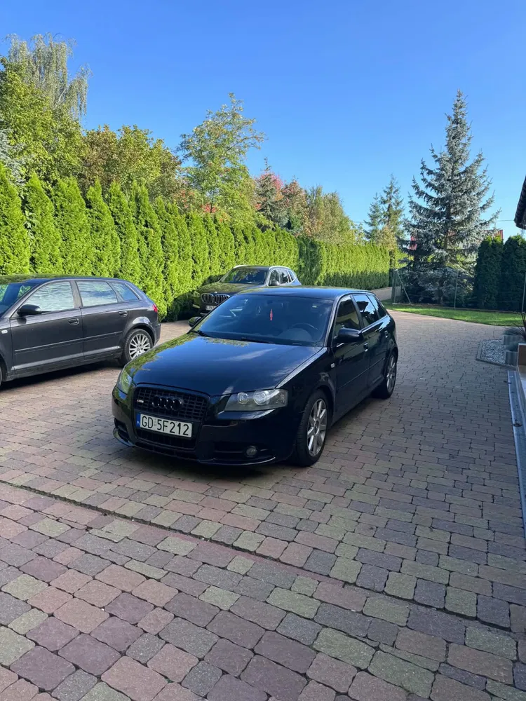 Zdjęcie: 2007 Audi A3
