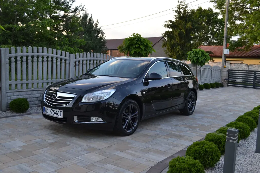 Zdjęcie: 2010 Opel Insignia
