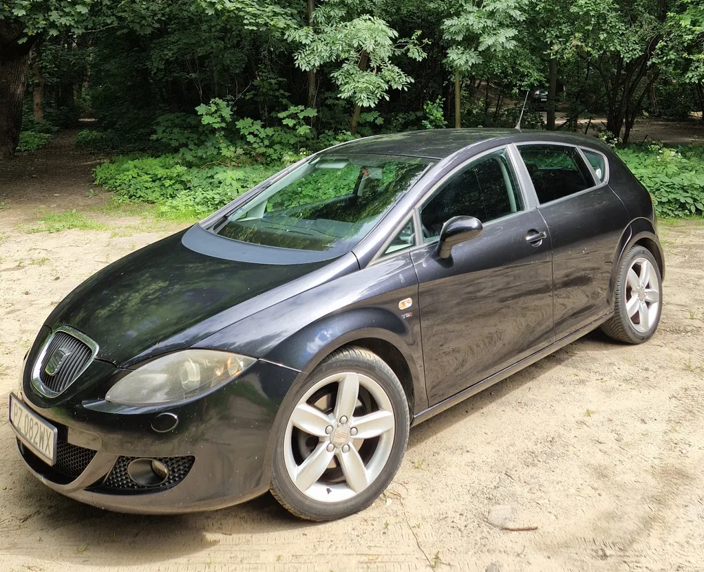 Zdjęcie: 2009 Seat Leon