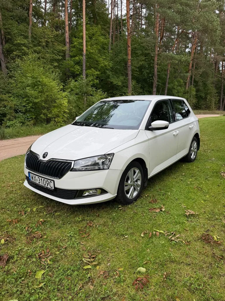 Zdjęcie: 2019 Skoda Fabia