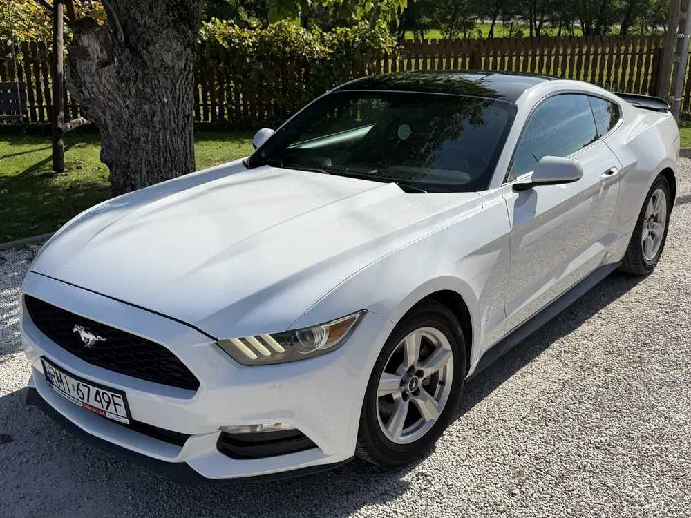 Zdjęcie: 2015 Ford Mustang