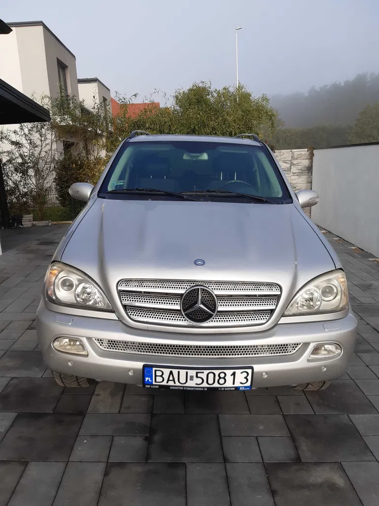 Zdjęcie: 2004 Mercedes-Benz ML Klasa