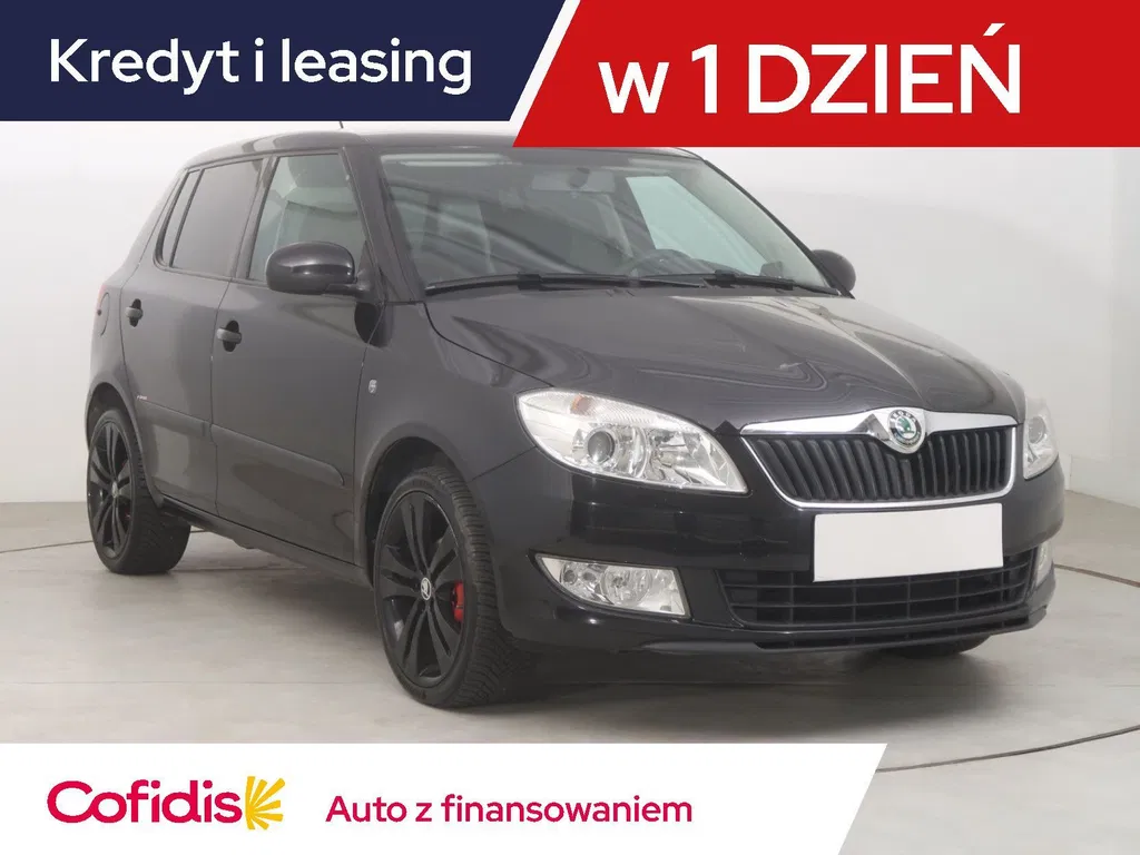 Zdjęcie: 2011 Skoda Fabia