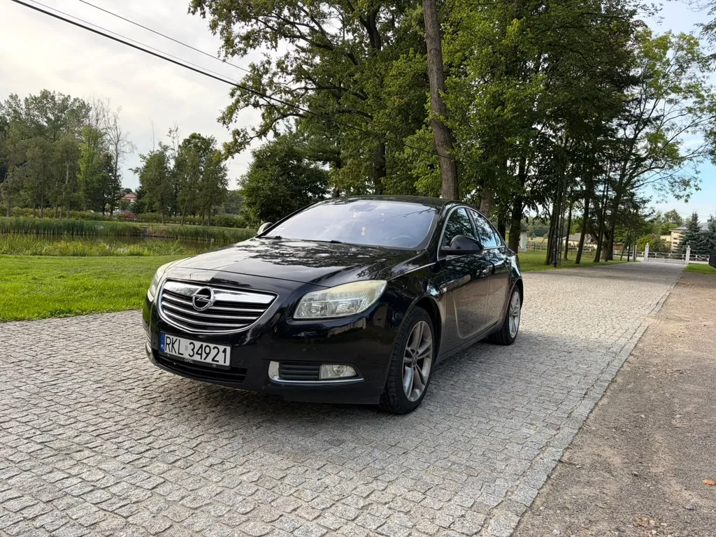 Zdjęcie: 2009 Opel Insignia