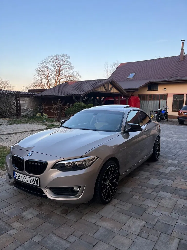 Zdjęcie: 2014 BMW Seria 2