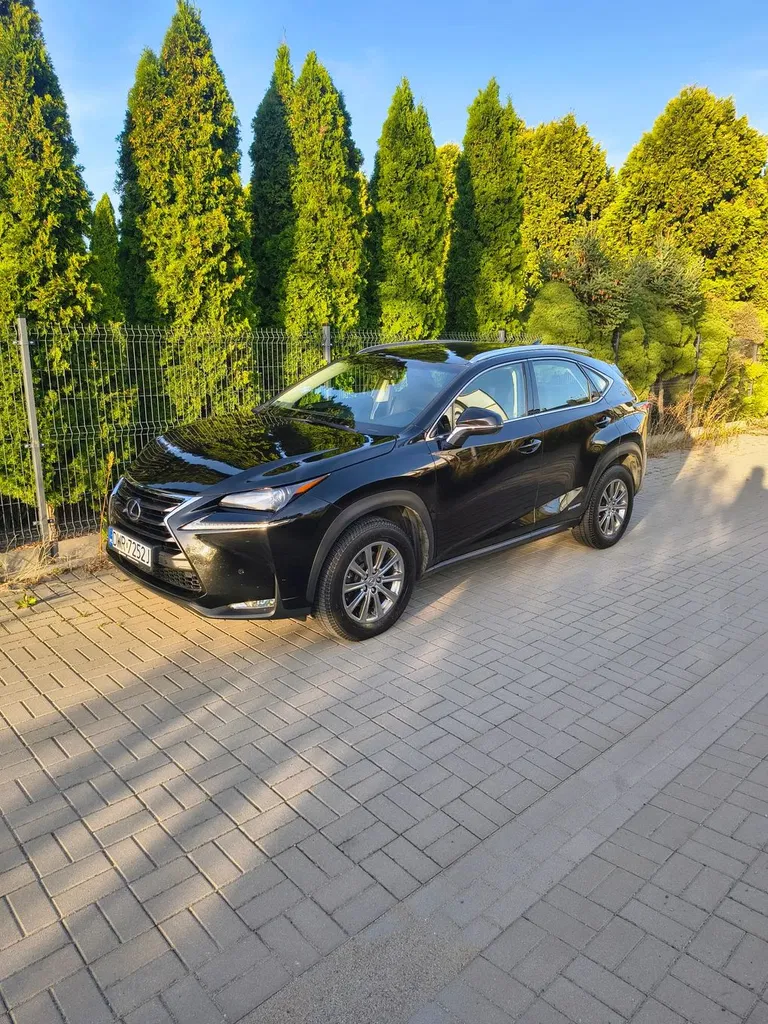 Zdjęcie: 2017 Lexus NX
