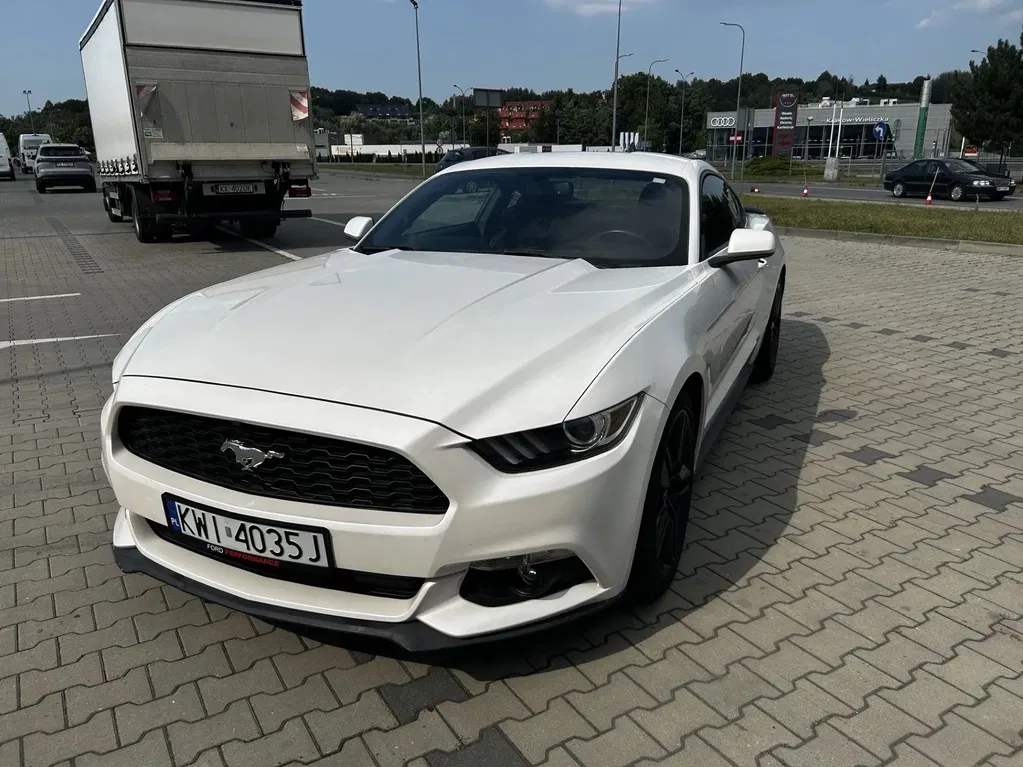 Zdjęcie: 2017 Ford Mustang