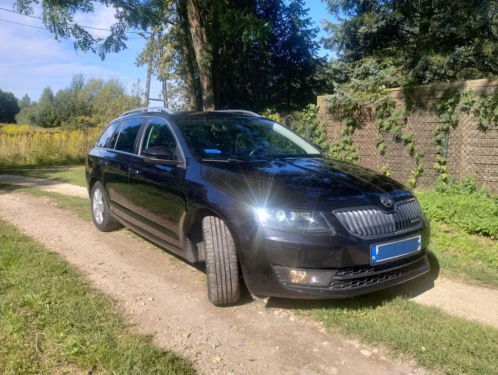 Zdjęcie: 2014 Skoda Octavia