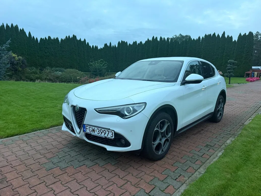 Zdjęcie: 2017 Alfa Romeo Stelvio