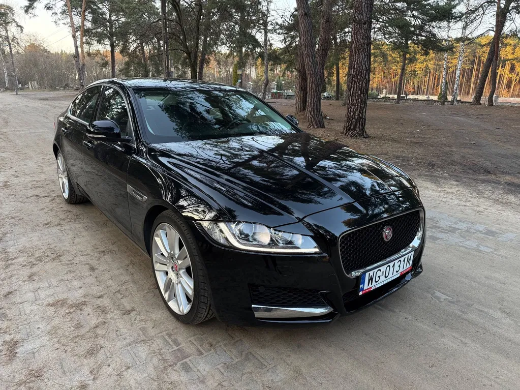 Zdjęcie: 2016 Jaguar XF