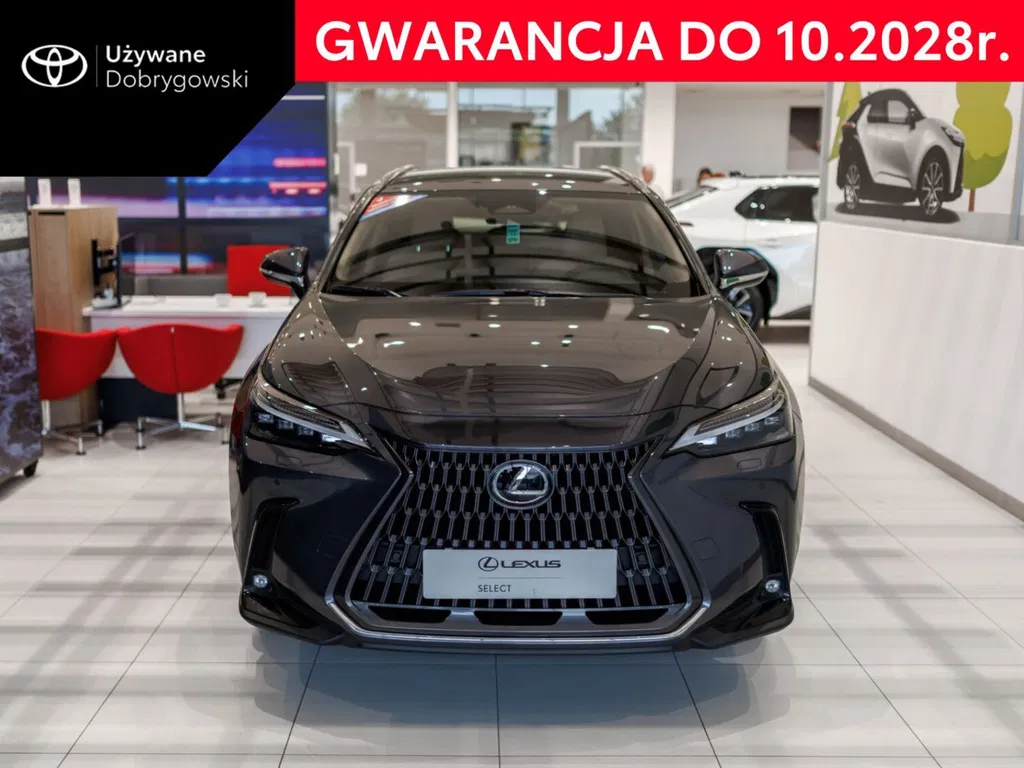Zdjęcie: 2025 Lexus NX