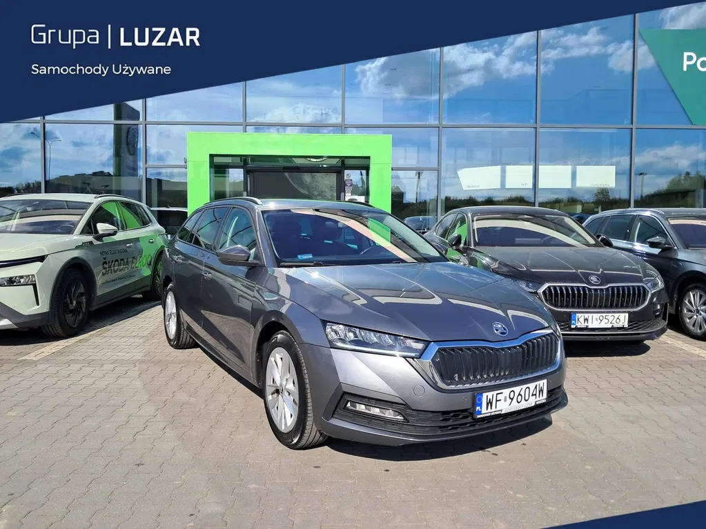 Zdjęcie: 2022 Skoda Octavia