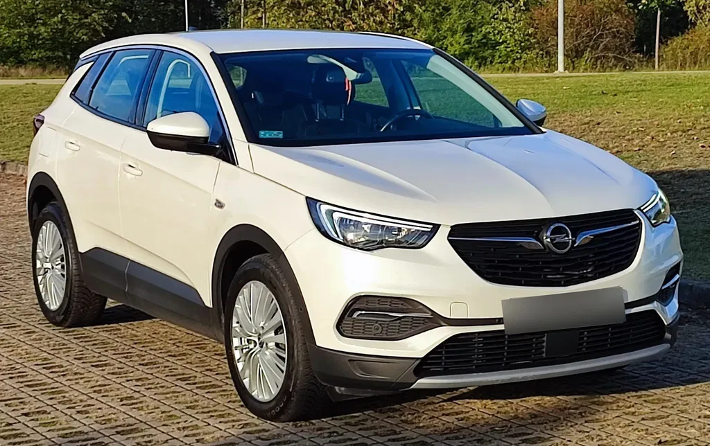 Zdjęcie: 2018 Opel Grandland X