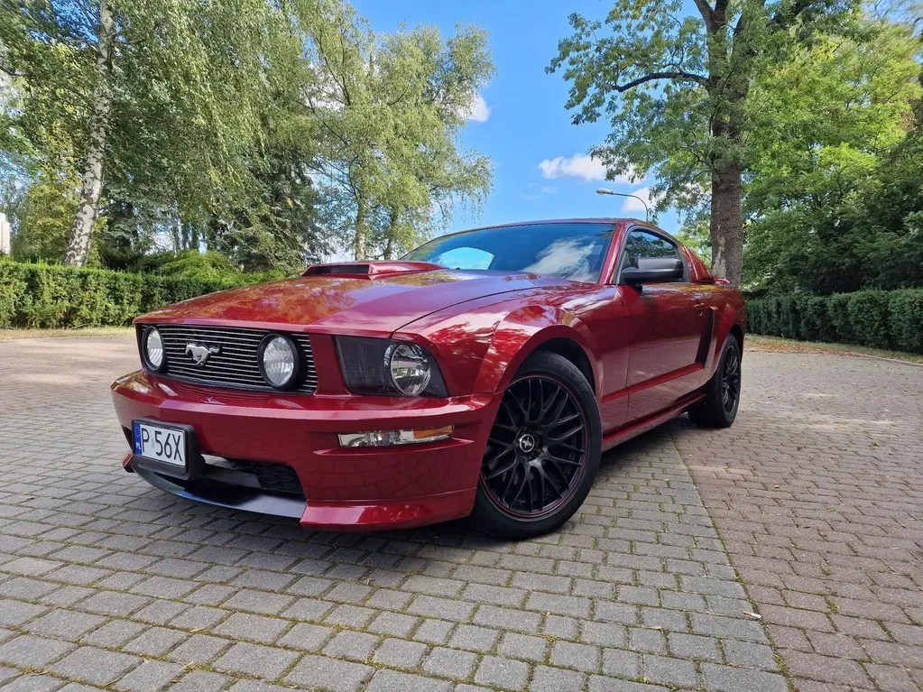 Zdjęcie: 2006 Ford Mustang