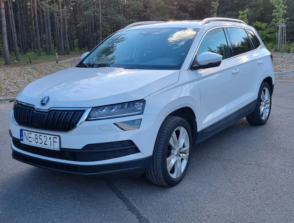 Zdjęcie: 2019 Skoda Karoq