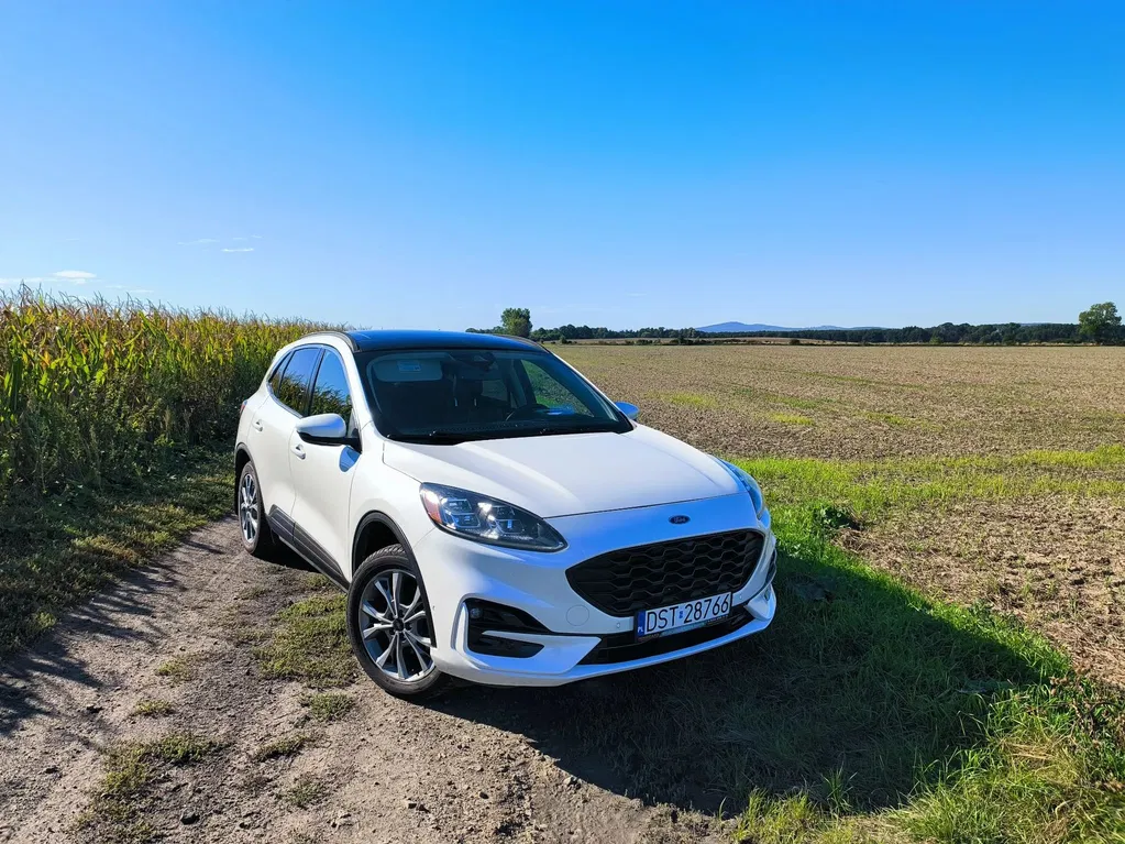 Zdjęcie: 2020 Ford Kuga