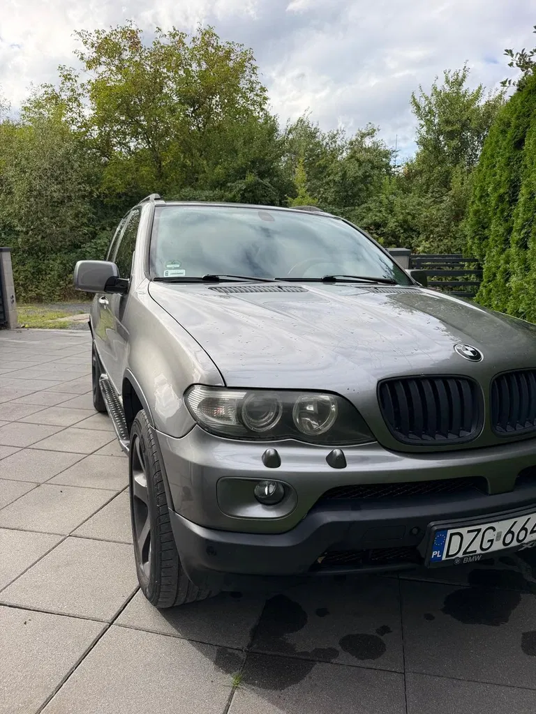 Zdjęcie: 2006 BMW X5