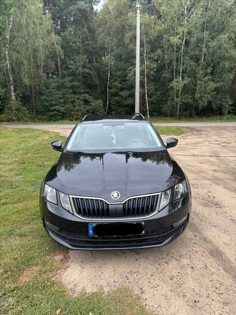 Zdjęcie: 2020 Skoda Octavia