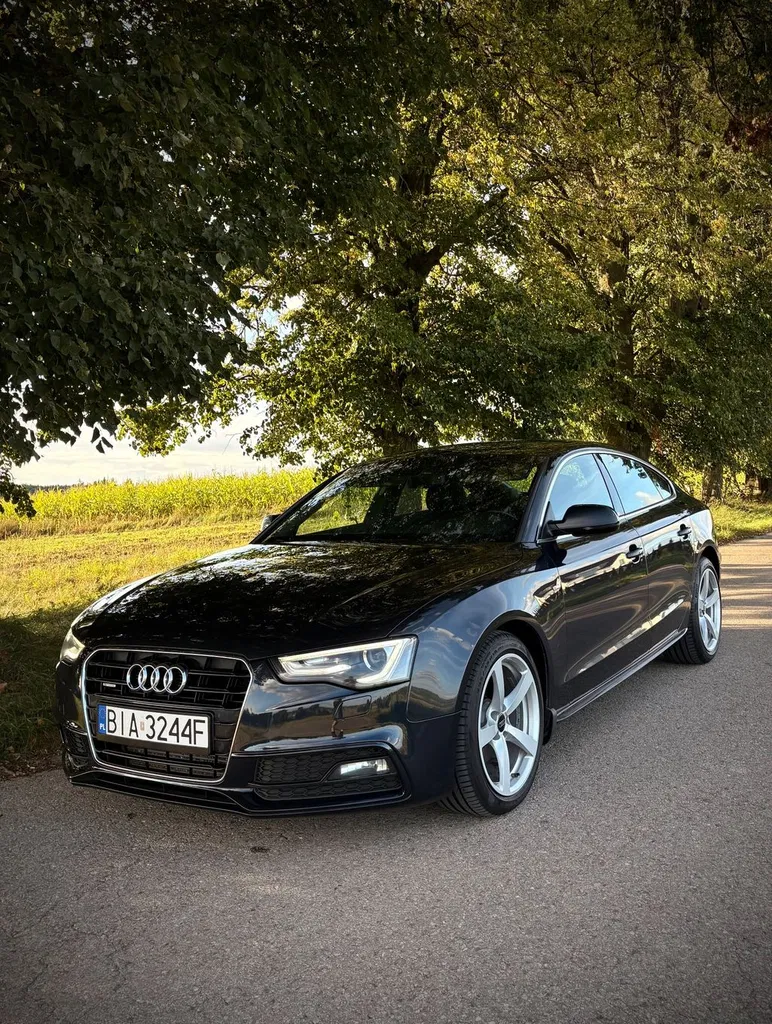 Zdjęcie: 2013 Audi A5 Sportback