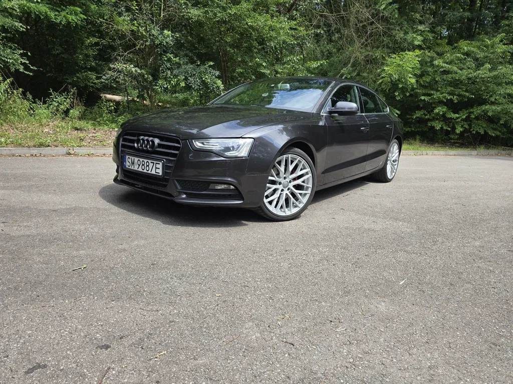 Zdjęcie: 2014 Audi A5 Sportback