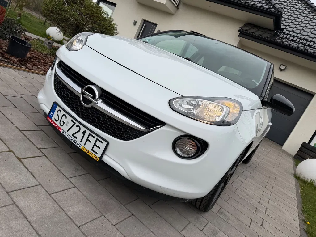 Zdjęcie: 2013 Opel Adam