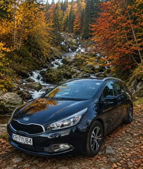 Zdjęcie: 2014 Kia Cee'd