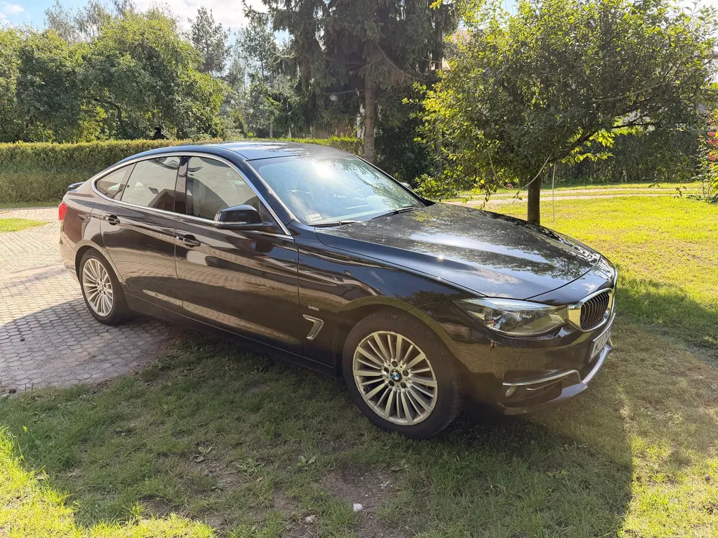 Zdjęcie: 2016 BMW 3GT