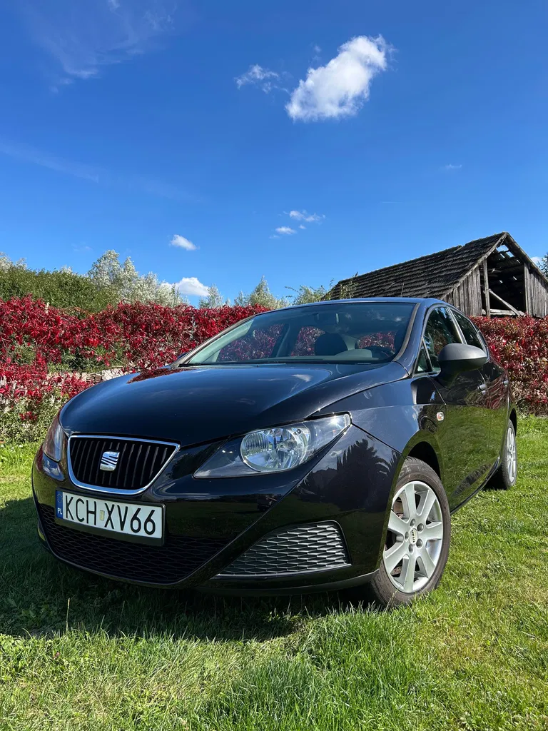 Zdjęcie: 2009 Seat Ibiza
