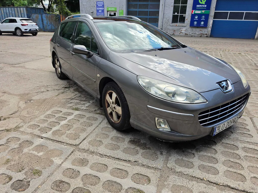 Zdjęcie: 2009 Peugeot 407