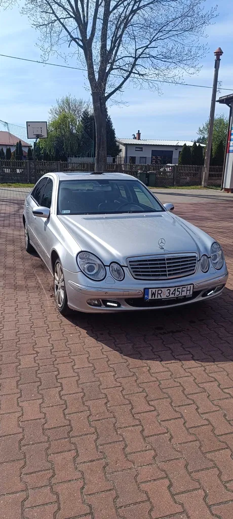 Zdjęcie: 2006 Mercedes-Benz E Klasa