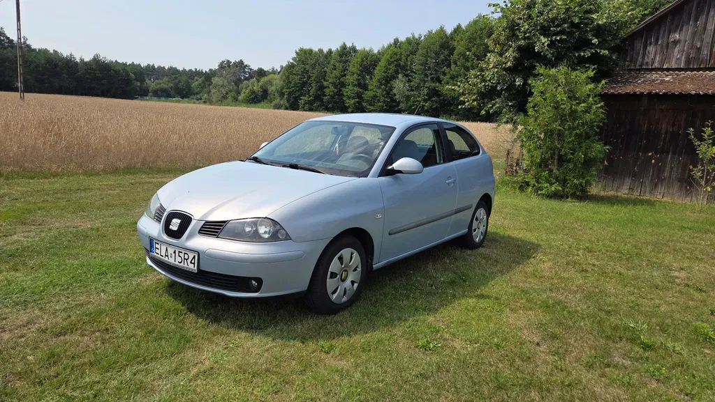 Zdjęcie: 2002 Seat Ibiza